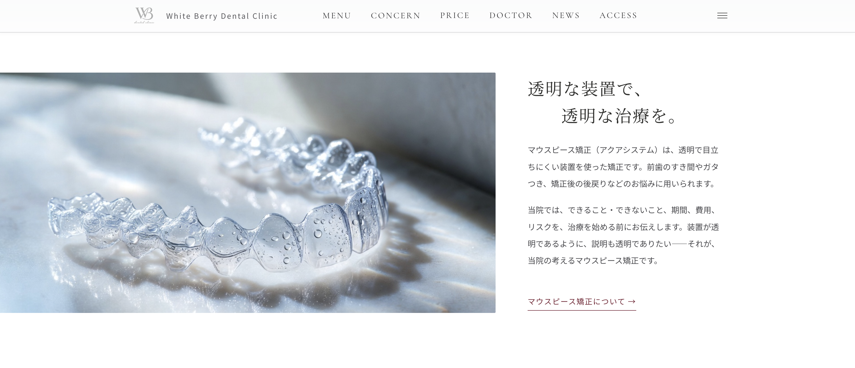 White Berry デンタルクリニック 様のホームページ